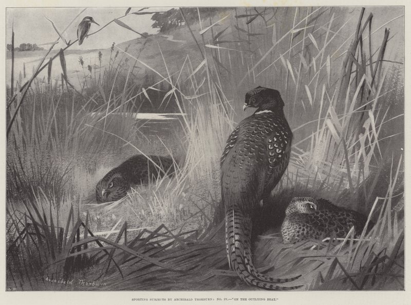 Soggetti sportivi, sulla battuta esterna da Archibald Thorburn