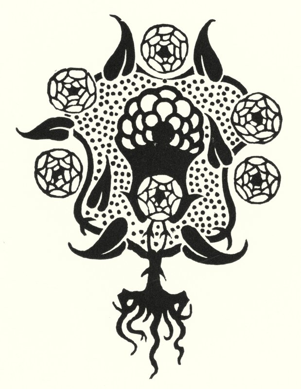 Progetto per la copertina di "Salome" da Aubrey Beardsley