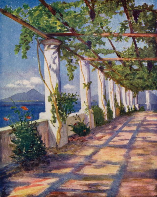 Pergola da Augustine Fitzgerald