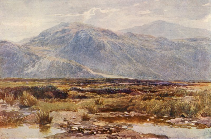 Cader Idris da Augustus Watford Weedon