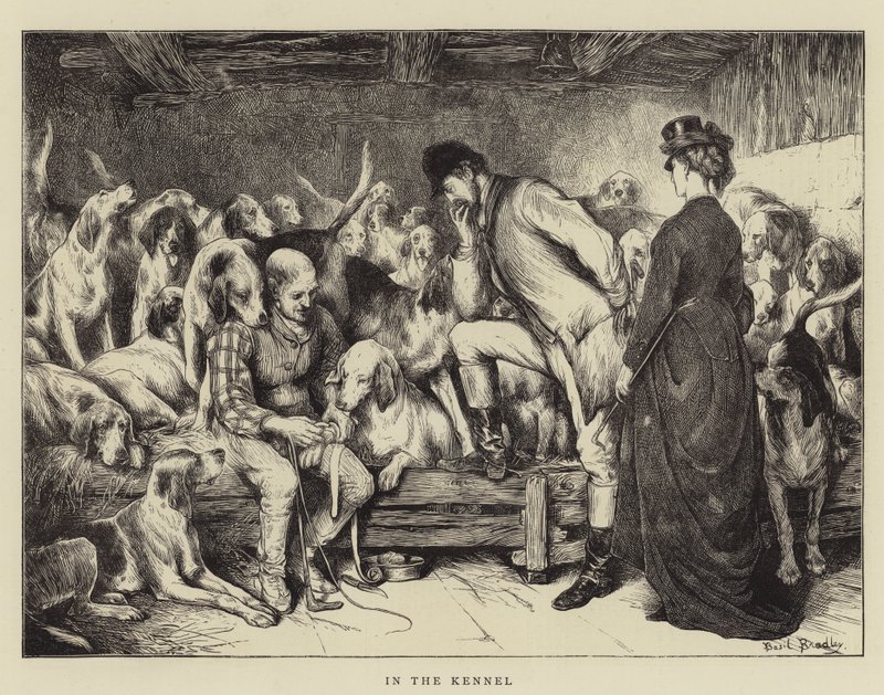 Nel canile da Basil Bradley