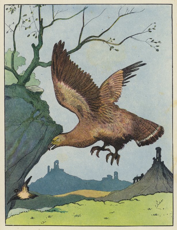 Aquila che insegue un uccello da Benjamin Rabier