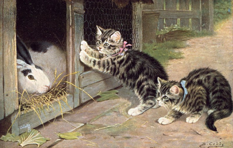 Cartolina di gatti da Bernard Cobbe