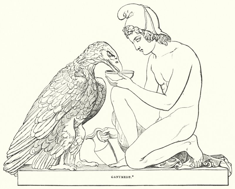 Ganimede da Bertel after Thorvaldsen