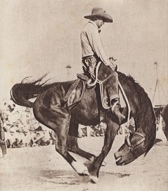 Cowboy in sella a un bucking bronco (foto b/n) da Canadian Photographer