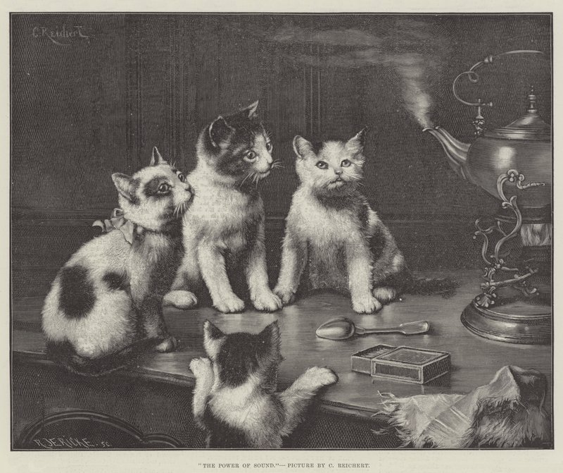 Il potere del suono da Carl Reichert