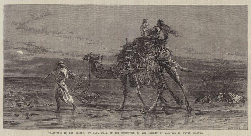 Felicità nel deserto da Carl Haag