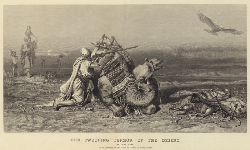 Il terrore che piomba dal deserto da Carl Haag