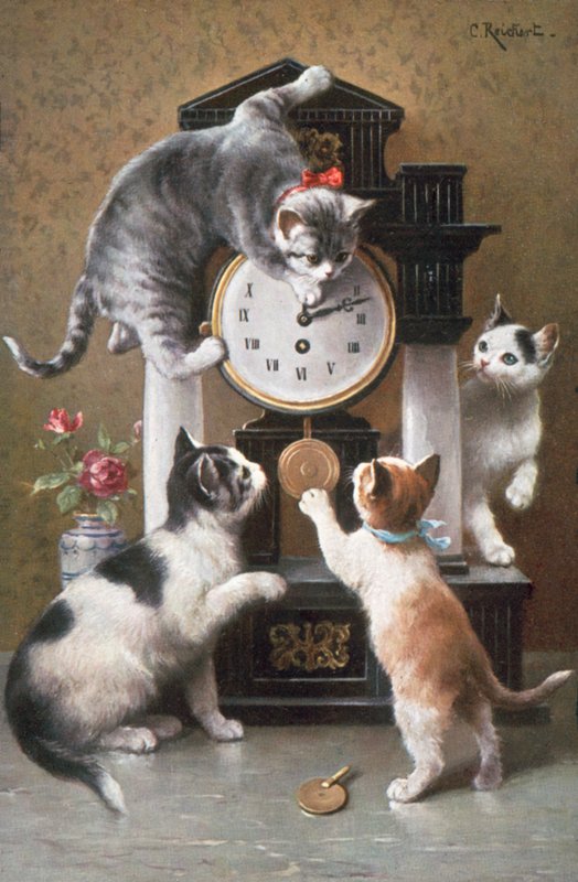 Cartolina con gatto da Carl Reichert