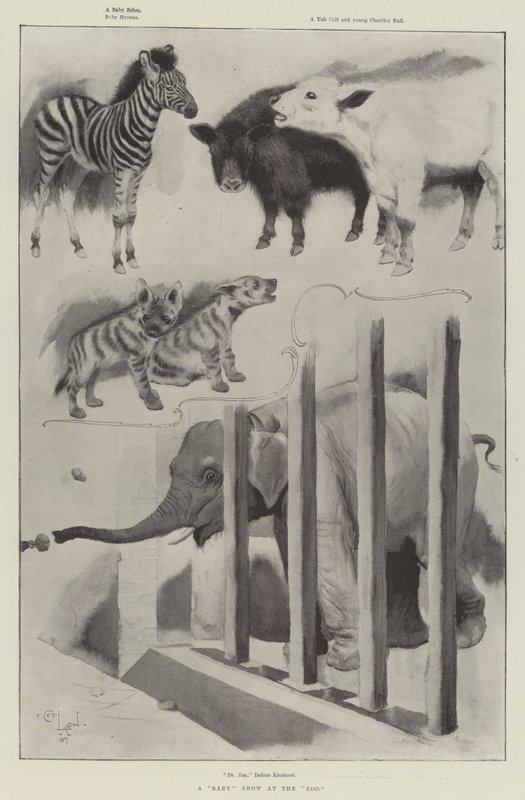 Una mostra di bambini allo zoo da Cecil Charles Windsor Aldin