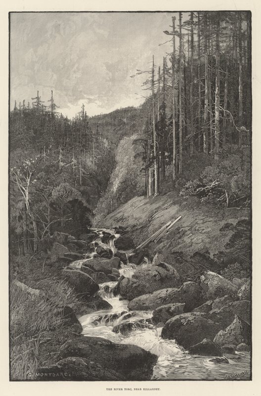 Il fiume Torc, vicino a Killarney da Charles Auguste Loye