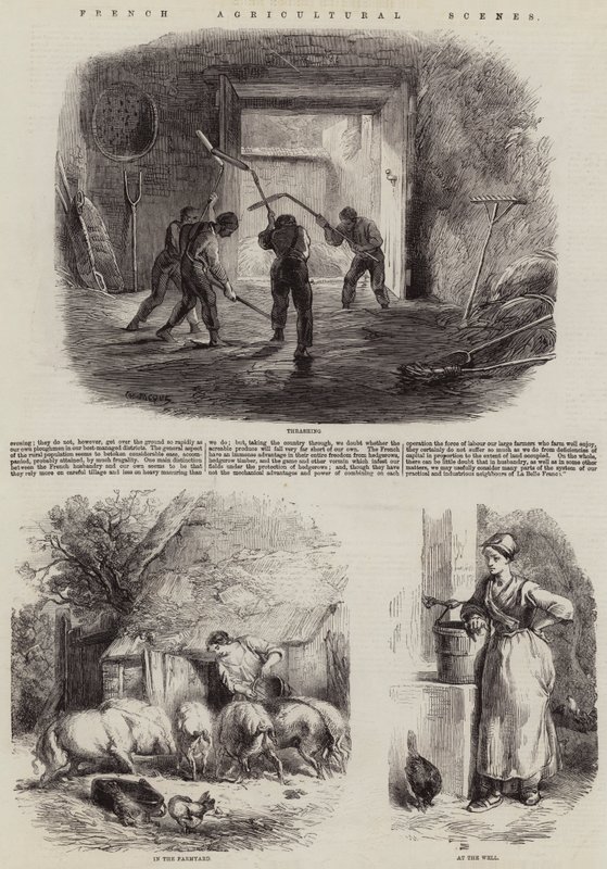 Scene agricole francesi da Charles Emile Jacque