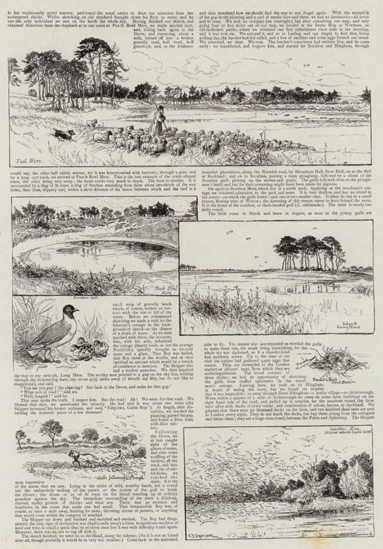 Angoli di Norfolk da Charles J. Staniland
