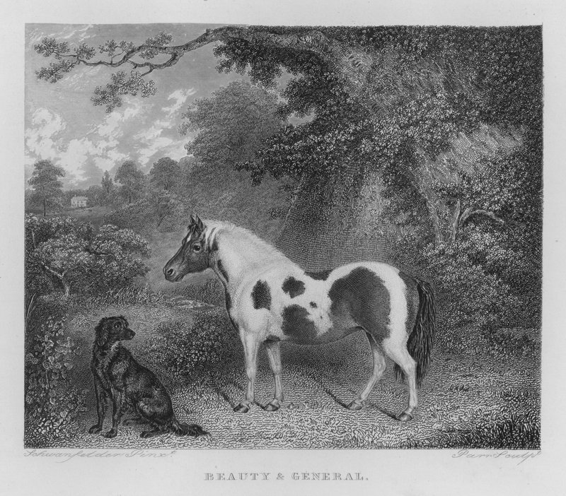 Bellezza e Generale (incisione) da Charles Henry Schwanfelder