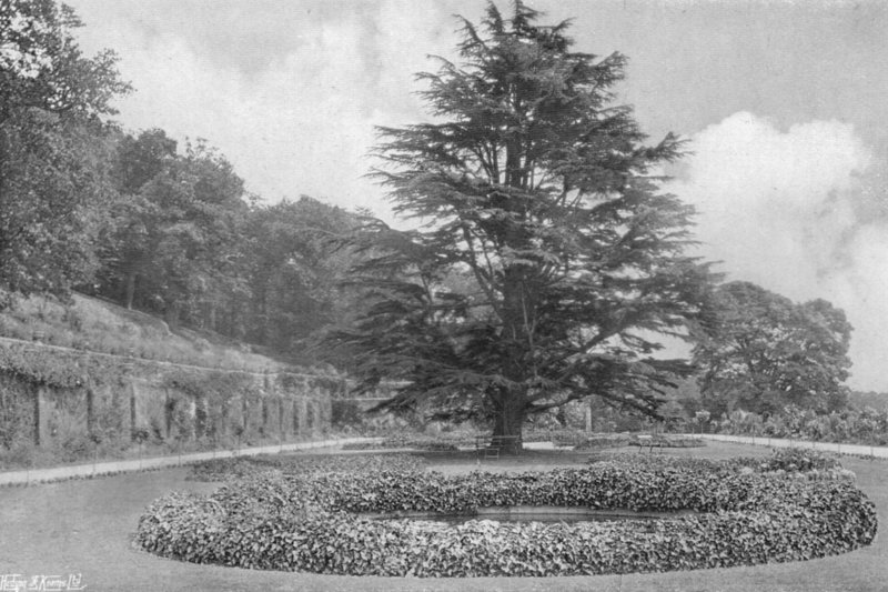 Sul prato da Charles Latham