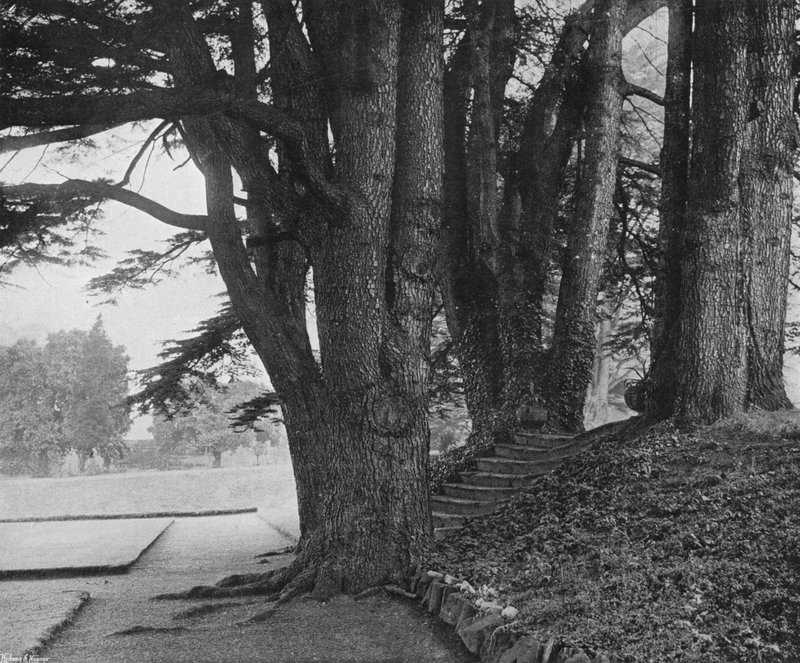 I gradini del giardino da Charles Latham