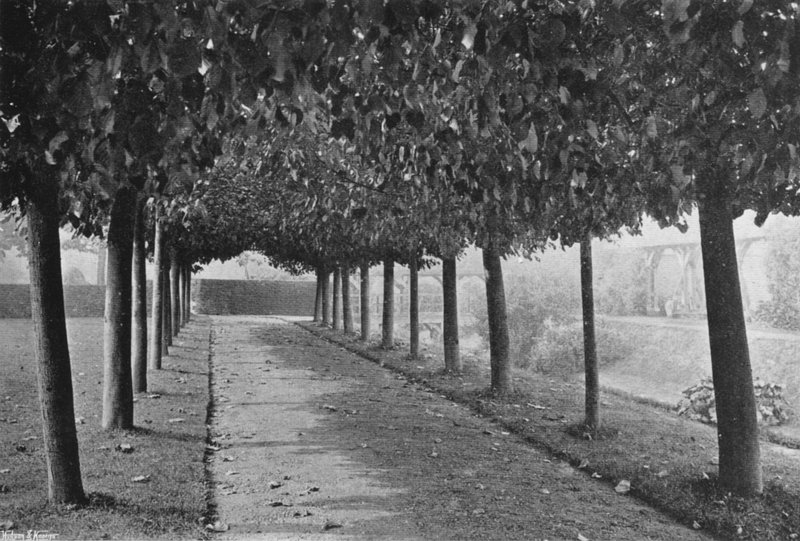 Il cammino intrecciato da Charles Latham