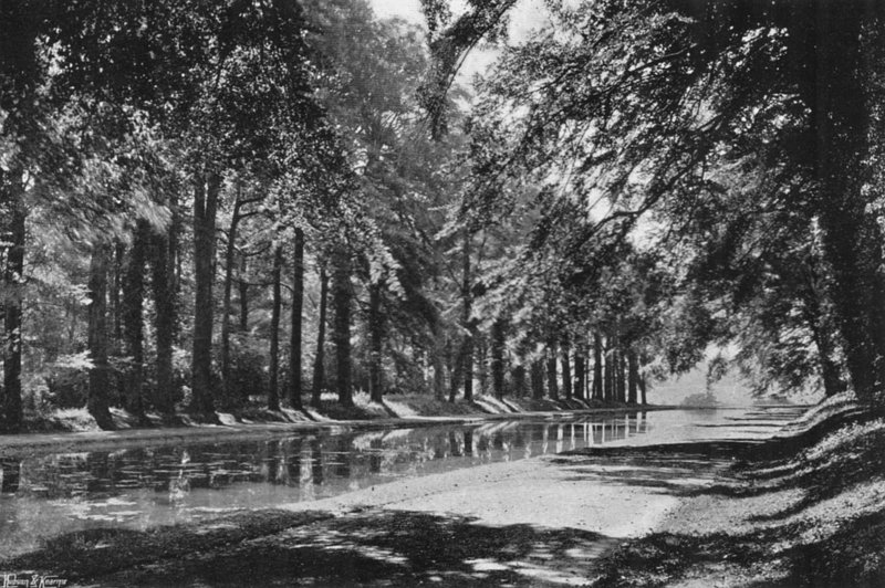 Lo stagno a T da Charles Latham