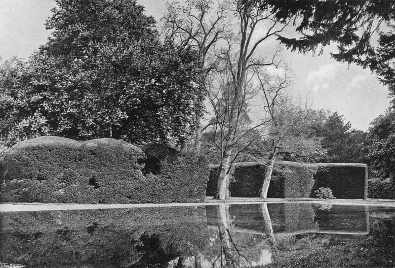 Il Viale dei Tassi da Charles Latham
