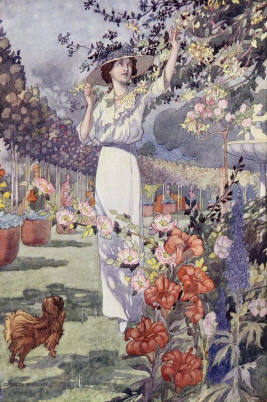 Il nostro Giardino Sentimentale: L