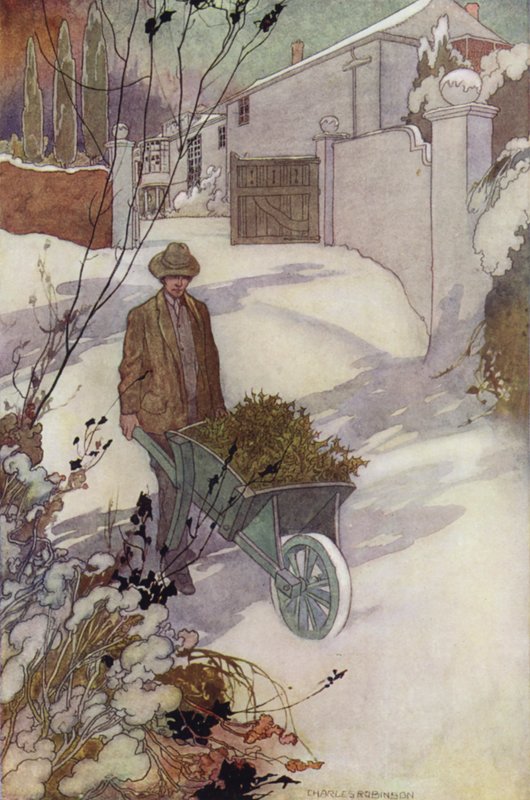 Il nostro giardino sentimentale: Inverno da Charles Robinson