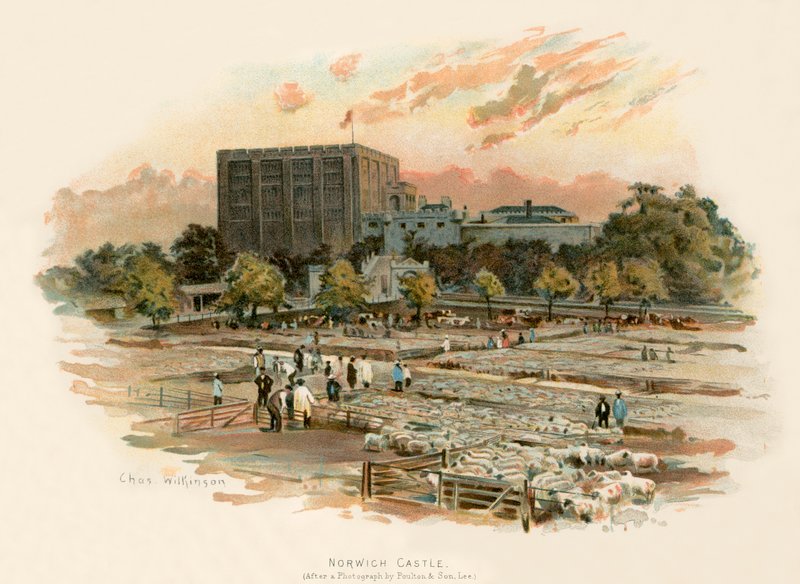 Castello di Norwich da Charles Wilkinson