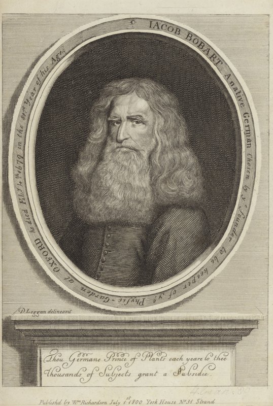 Jacob Bobart da David Loggan