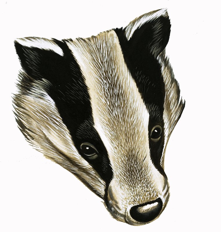Il signor e la signora Badger a casa da David Pratt