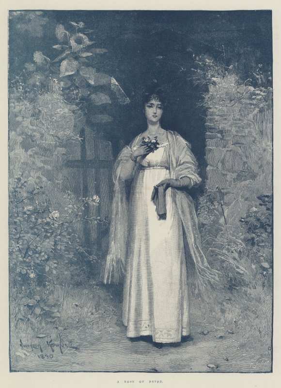 Una rosa del Devon da Davidson Knowles