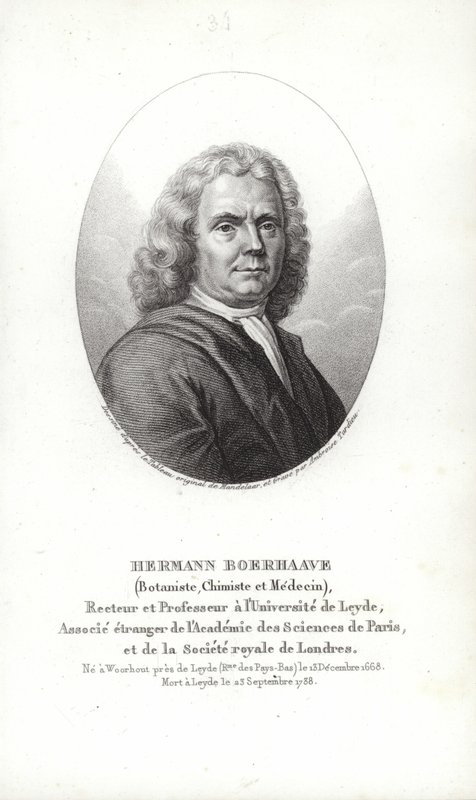 Herman Boerhaave da Dutch School