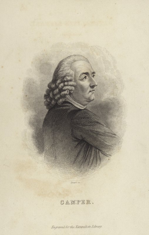 Petrus Camper da Dutch School