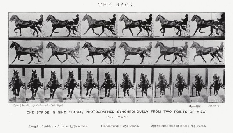 Il galoppo da Eadweard Muybridge