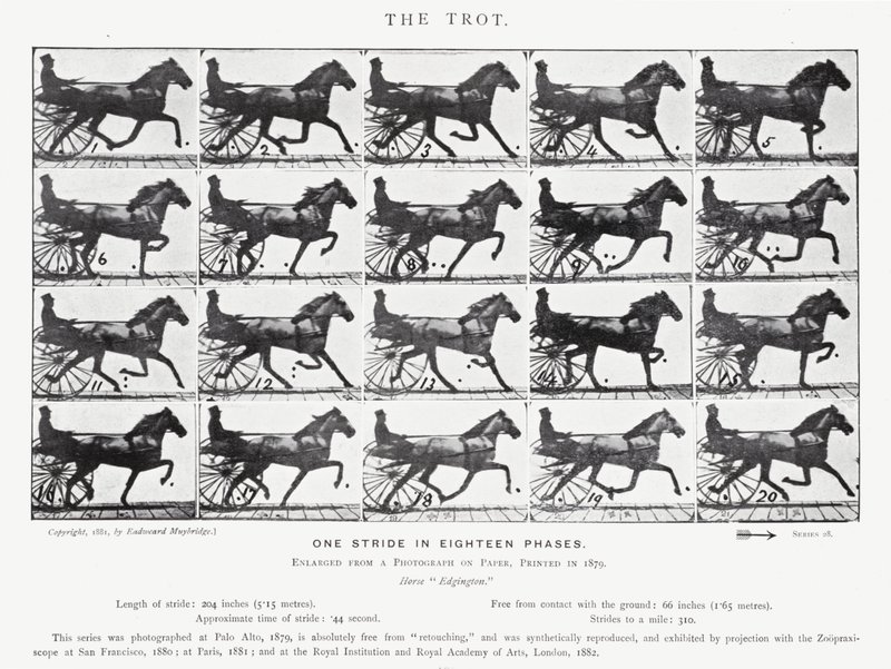 Il trotto da Eadweard Muybridge