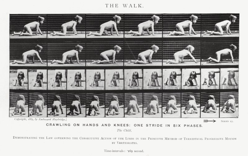 Eadweard Muybridge: La camminata da Eadweard Muybridge