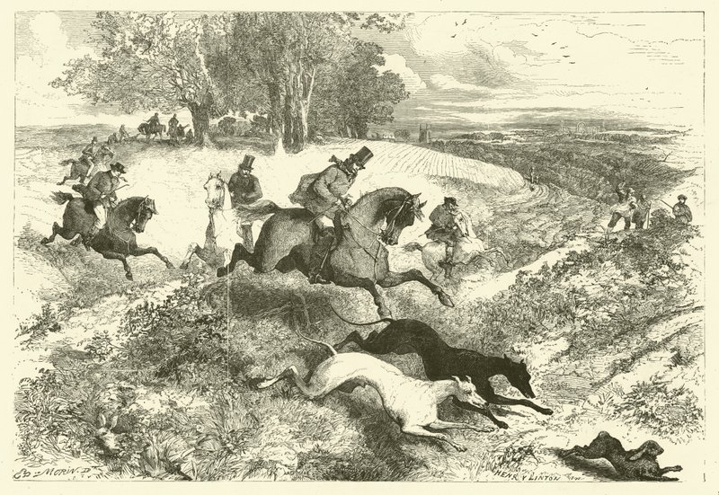 Caccia alla lepre in Inghilterra (incisione) da Edmond (after) Morin