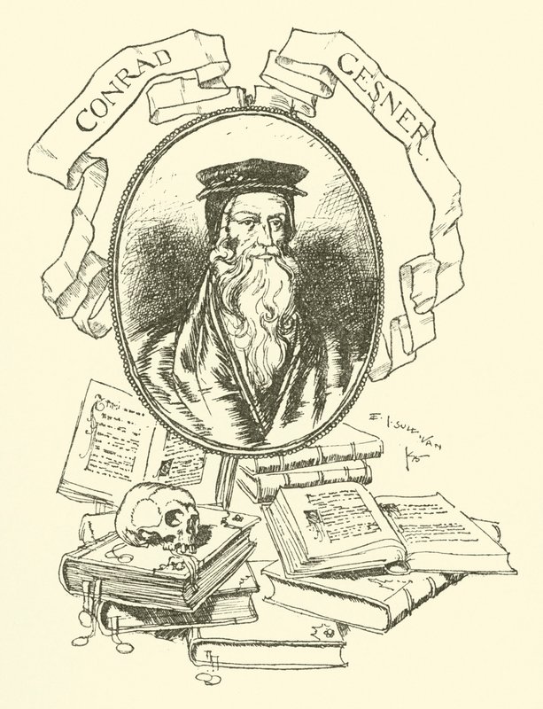 Conrad Gesner da Edmund Joseph after Sullivan