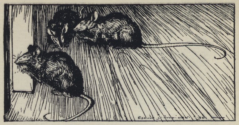 Illustrazione per Maud di Tennyson da Edmund Joseph after Sullivan