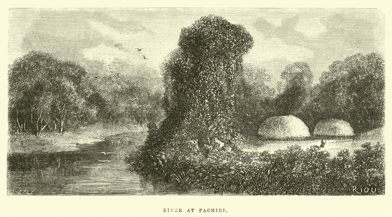 Fiume a Pachiri da Edouard Riou