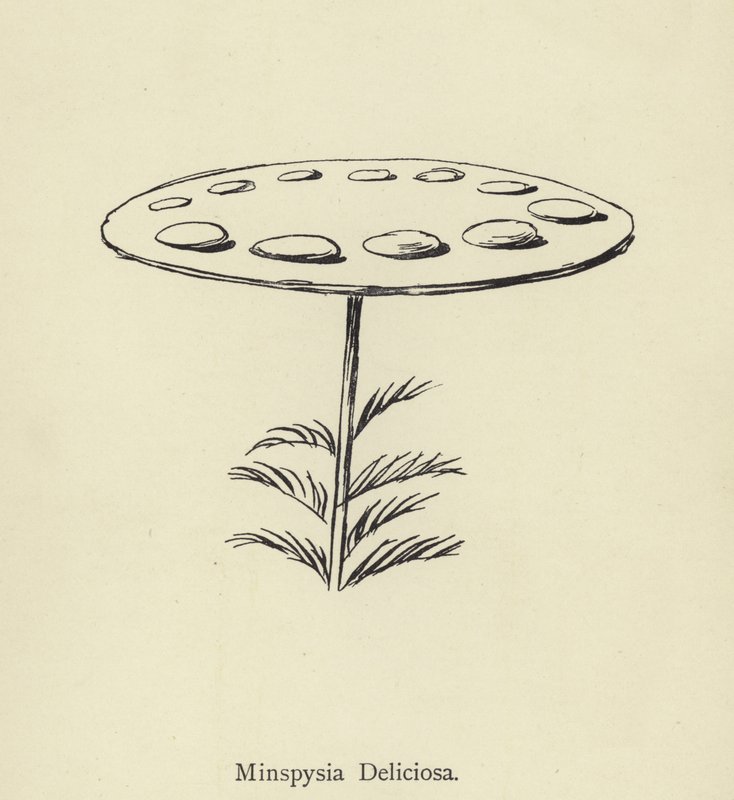 Minspysia Deliciosa da Edward Lear