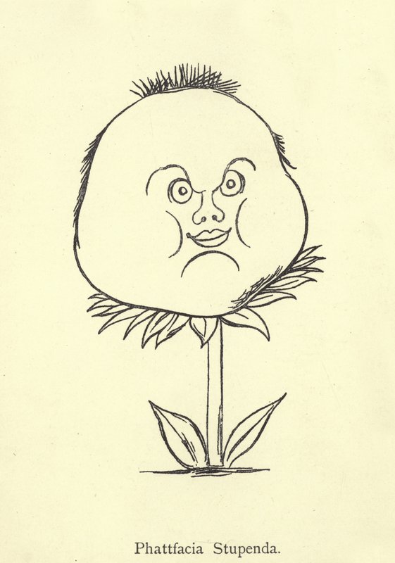 Phattfacia Stupenda da Edward Lear