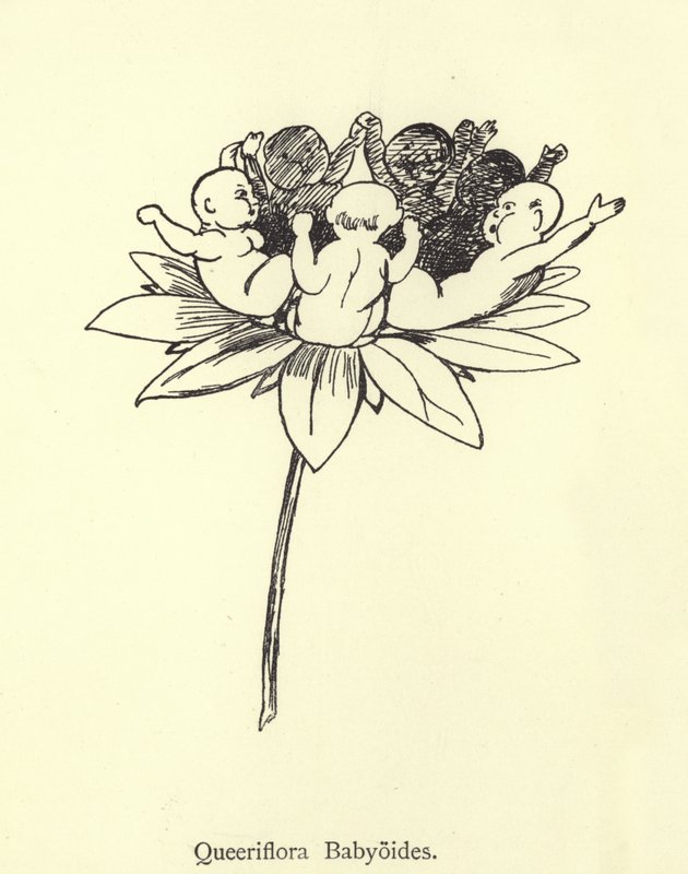 Queeriflora Babyoides da Edward Lear