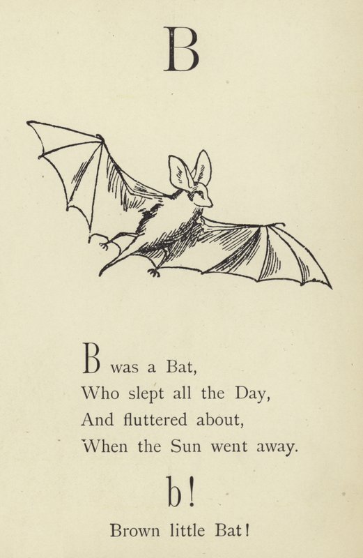 La lettera B da Edward Lear
