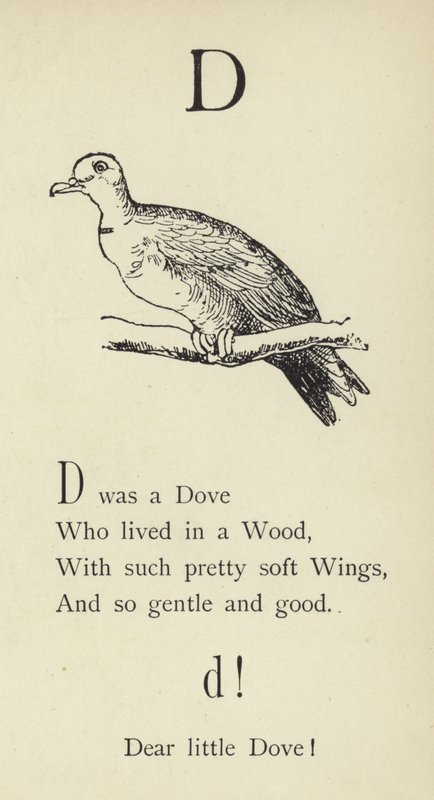 La lettera D da Edward Lear