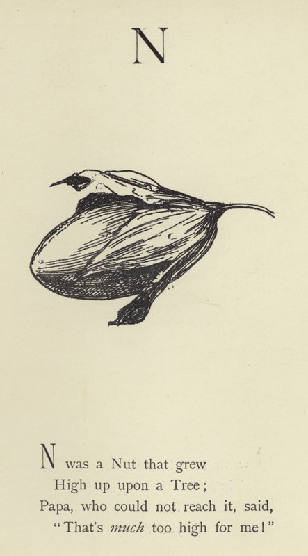 La lettera N da Edward Lear