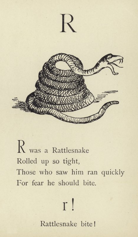 La lettera R da Edward Lear