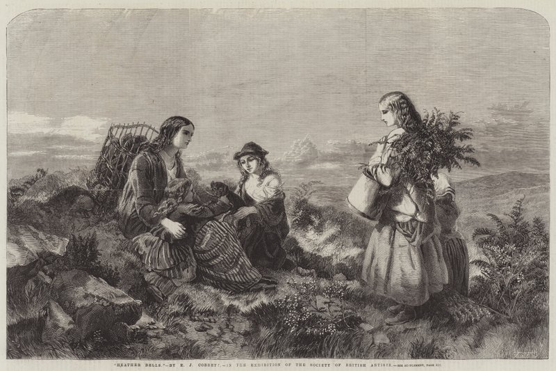 Campanule da Edward John Cobbett