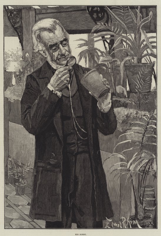 Il suo hobby da Edward R. King