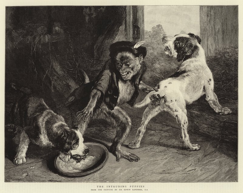 I cuccioli intrusi da Edwin Landseer