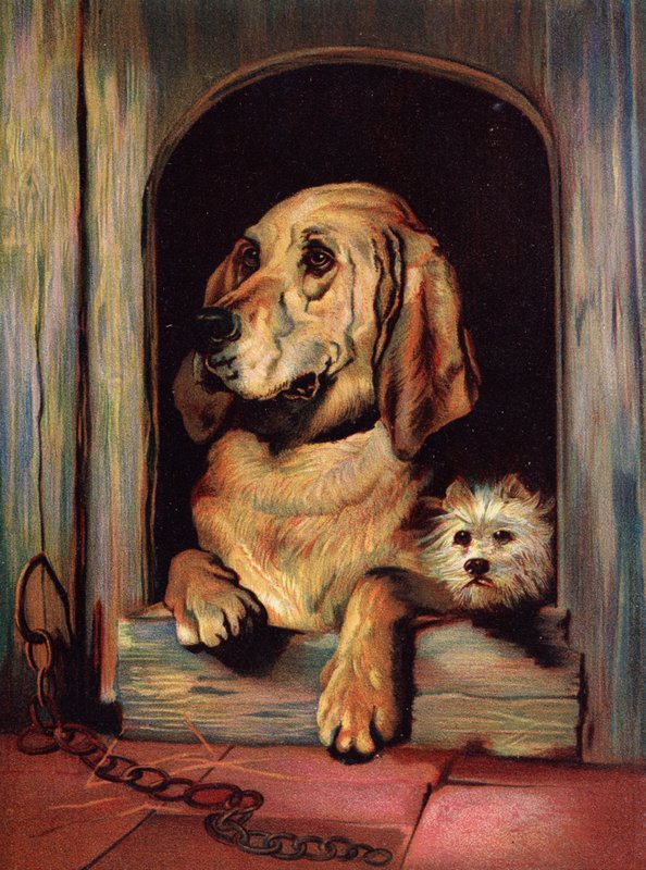 Dignità e Impudenza da Edwin Landseer