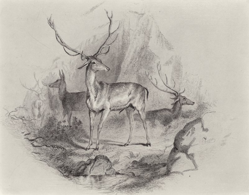Nella valle da Edwin Landseer